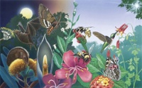 illustration of bees